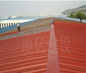 彩鋼瓦屋面防腐翻新 丙烯酸防腐工業廠房屋面施工工程地億建設